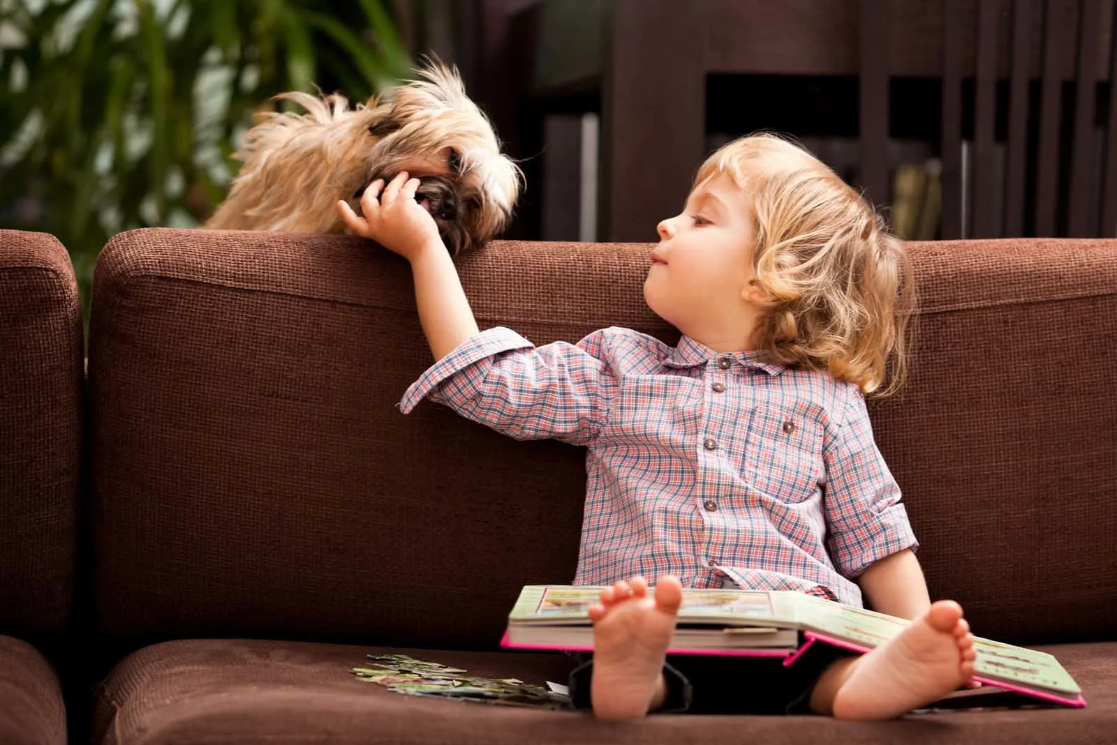 two year old child sitting on the sofa with havanese dog