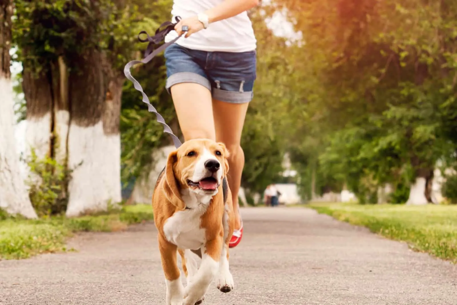 woman running with her beagle dog