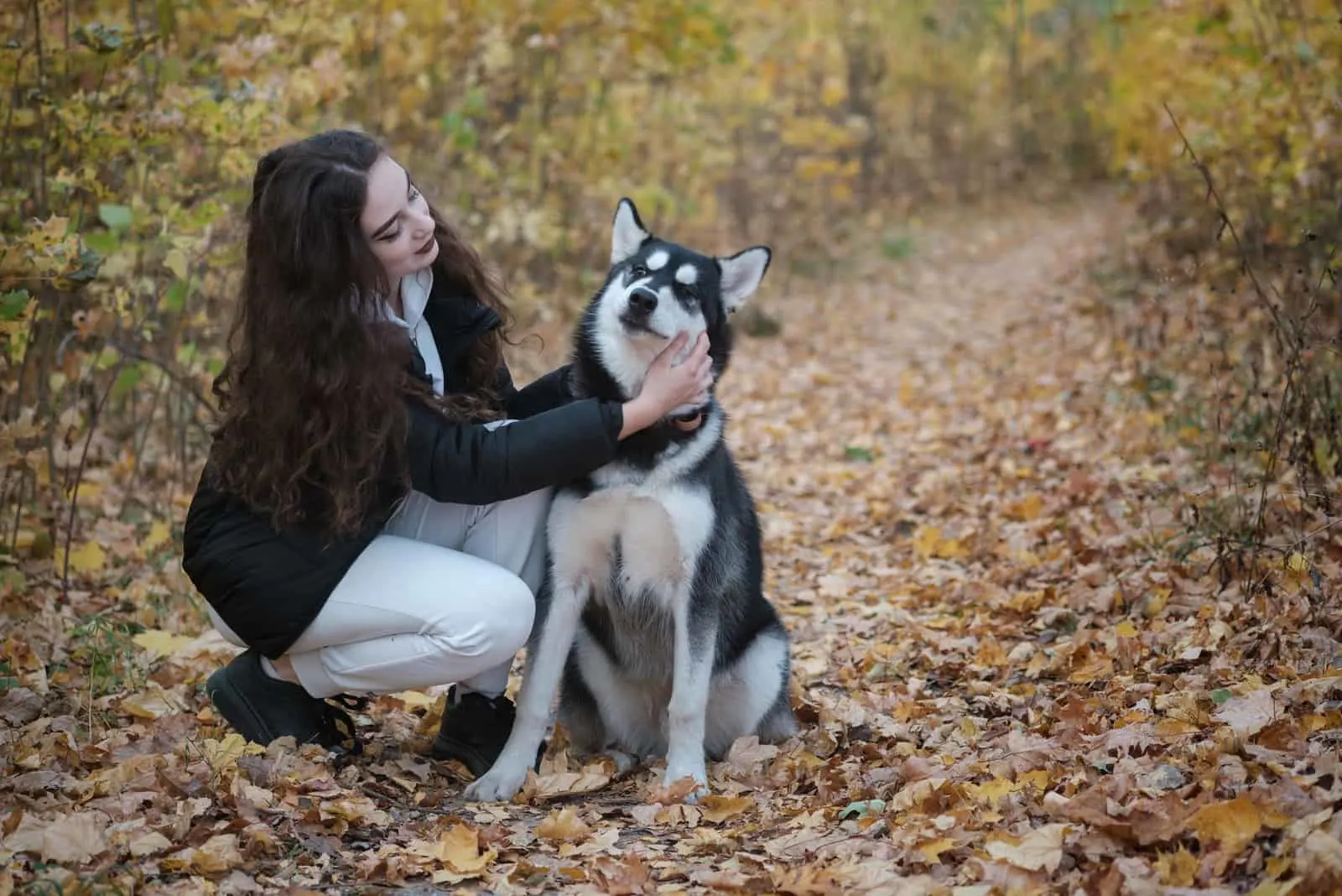 woman with a siberian husky dog in a beautiful autumn park