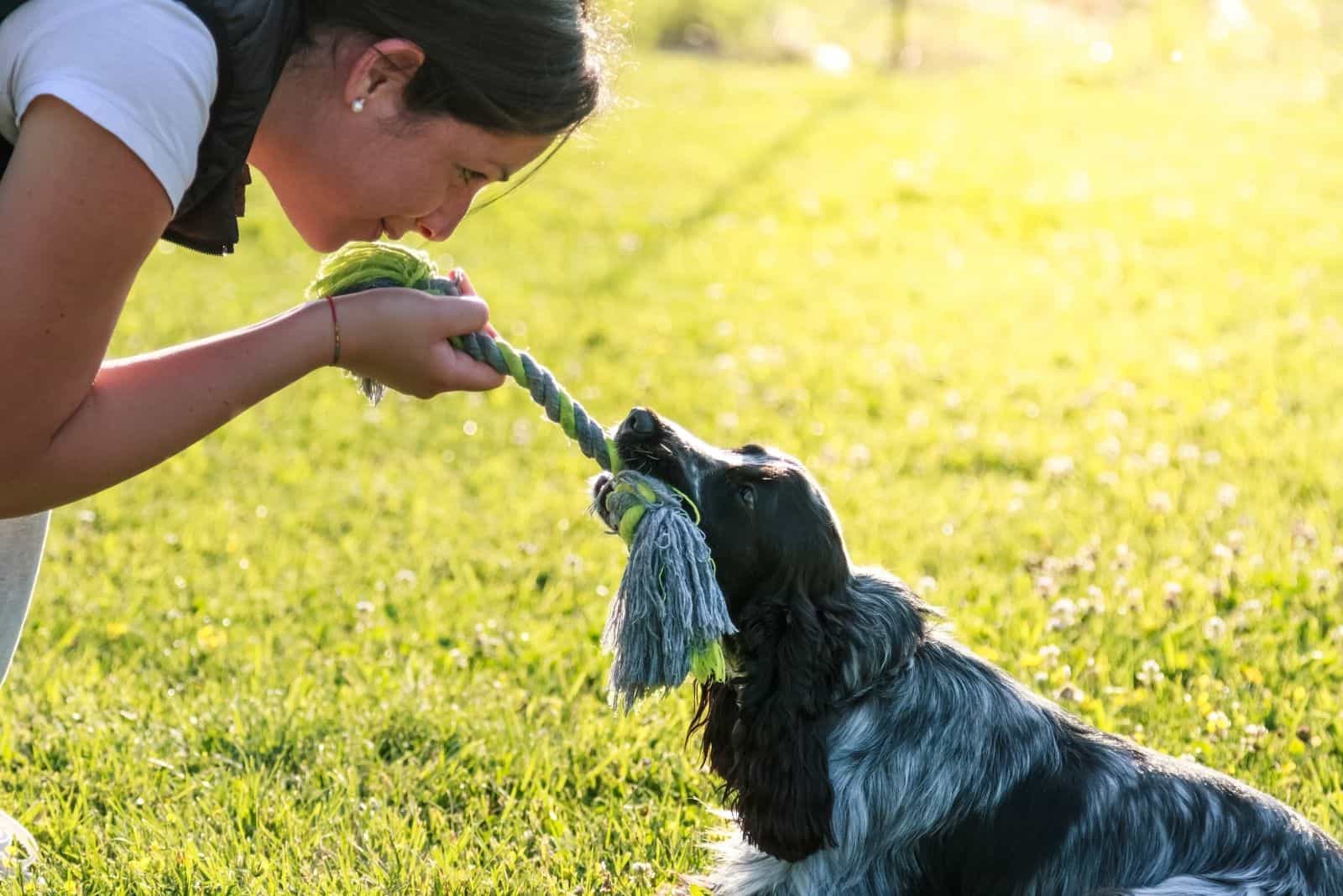 young adult female playing with her cocker spaniel 