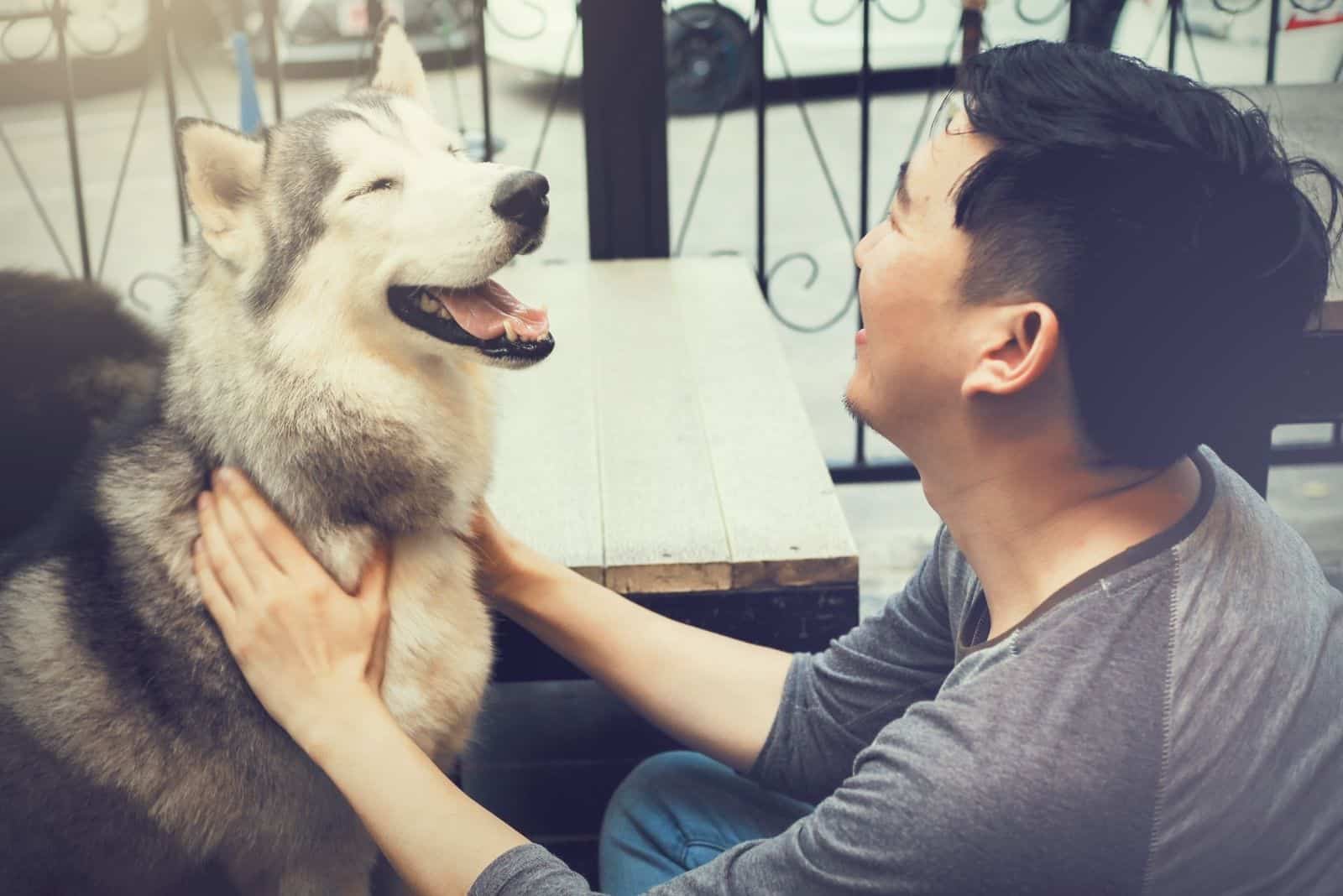 young male owner playing with his siberian husky
