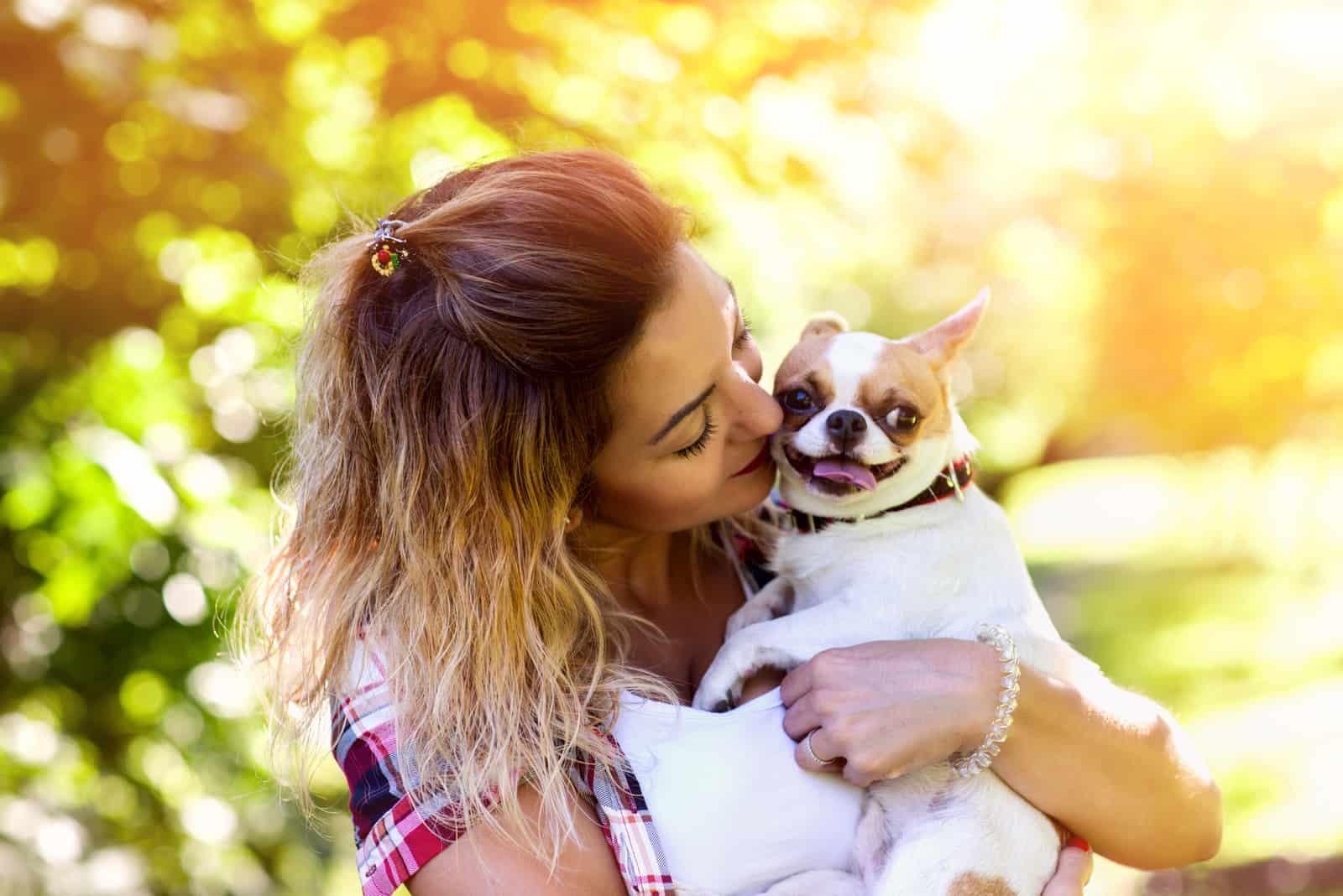 young woman holds a dog breed Chihuahua