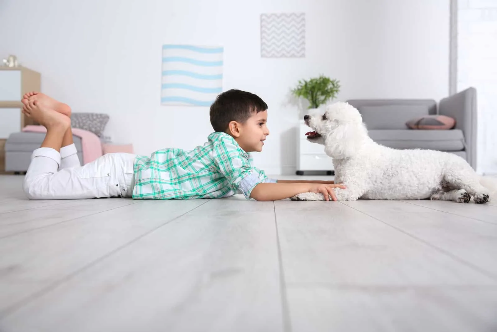 Little boy and bichon frise dog lying on floor at home