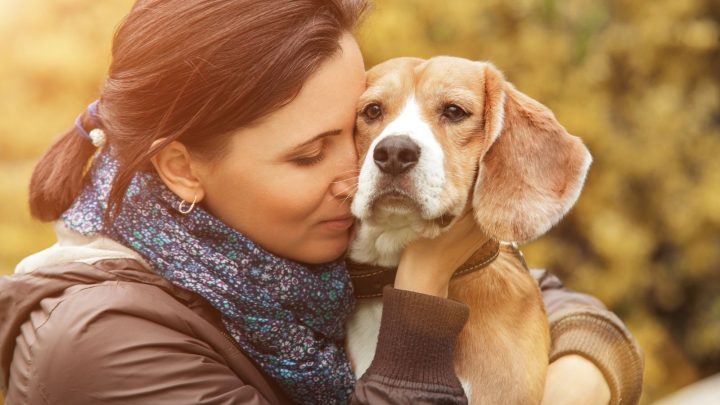 Puppy Blues: 14 Tips For Dealing With Post-Puppy Depression