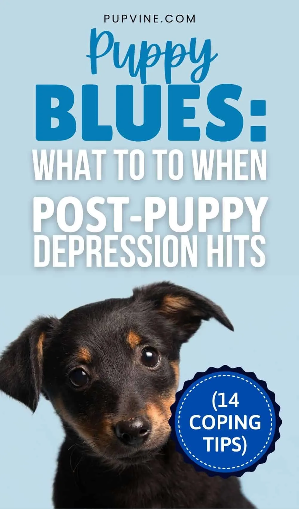 Puppy Blues: What To To When Post-Puppy Depression Hits (14 Coping Tips)