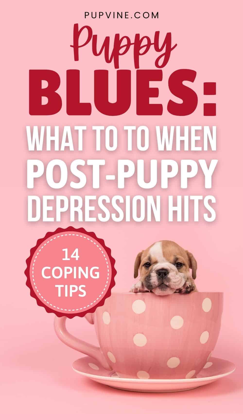 Puppy Blues What To To When Post-Puppy Depression Hits (14 Coping Tips)