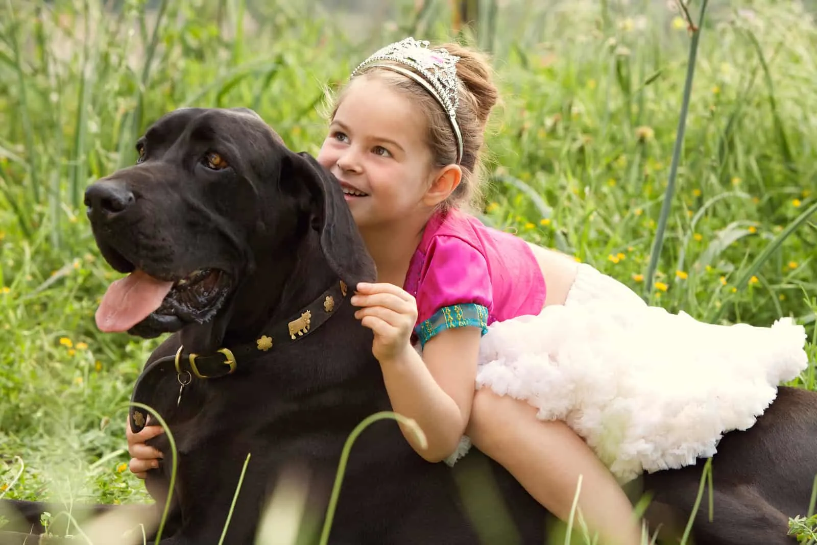 beautiful young girl wearing a fancy dress, sitting on her dog pet back