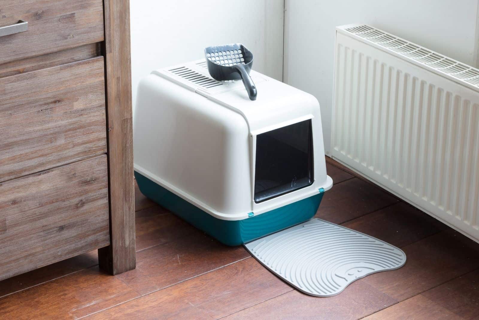 clean litter box placed in the corner of the house