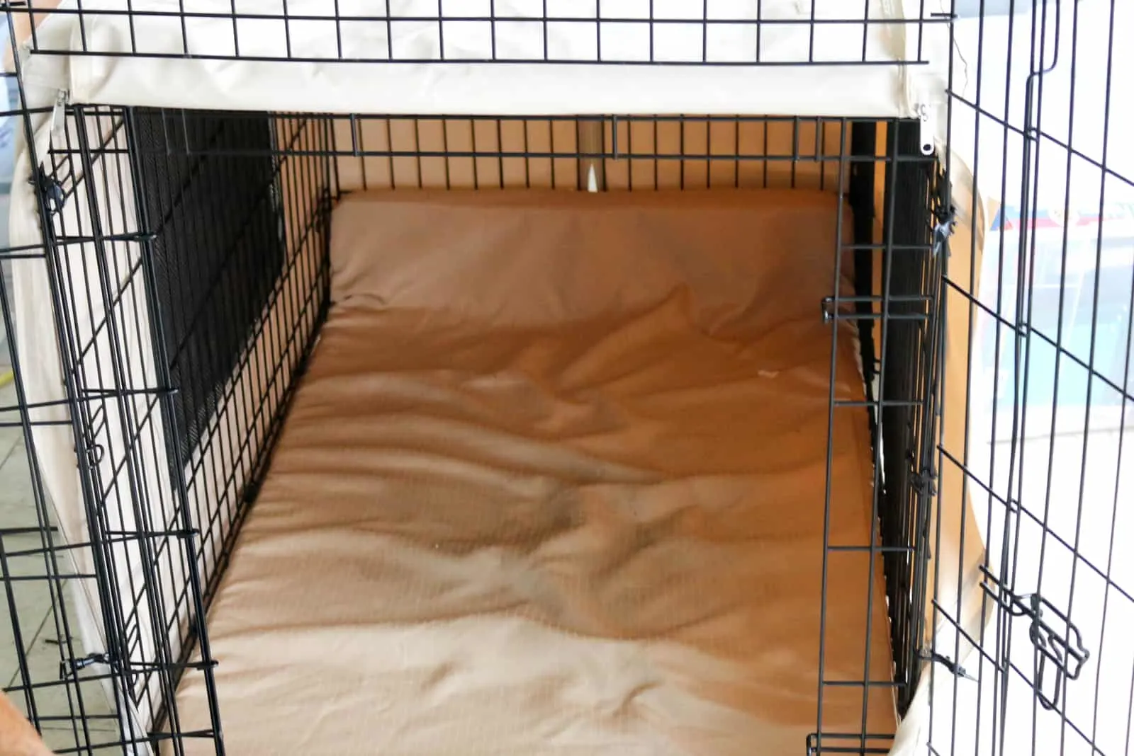crate for dog