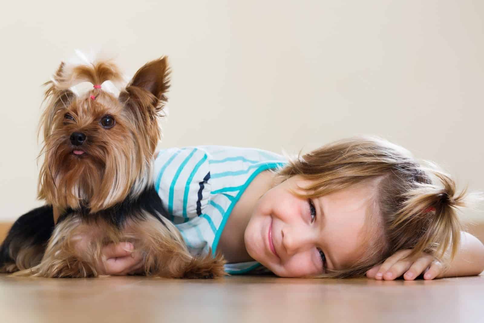 little child playing with her little yorkie on the table