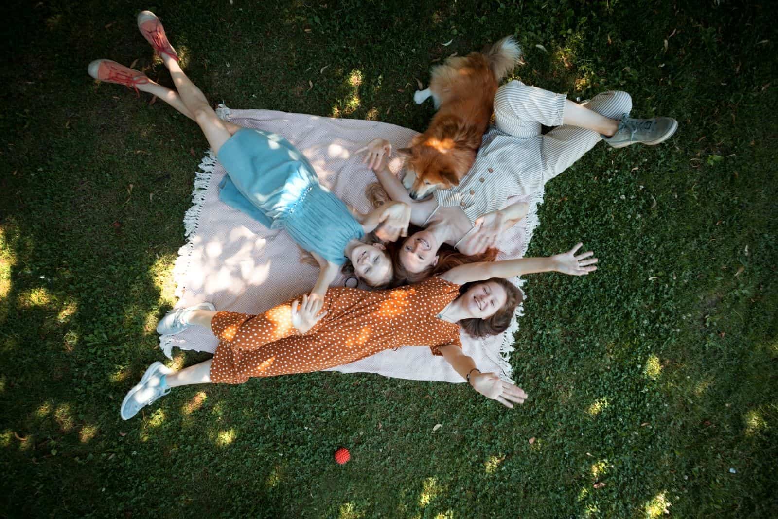 top view of family enjoy lying in picnic mat with a corgi mix dog