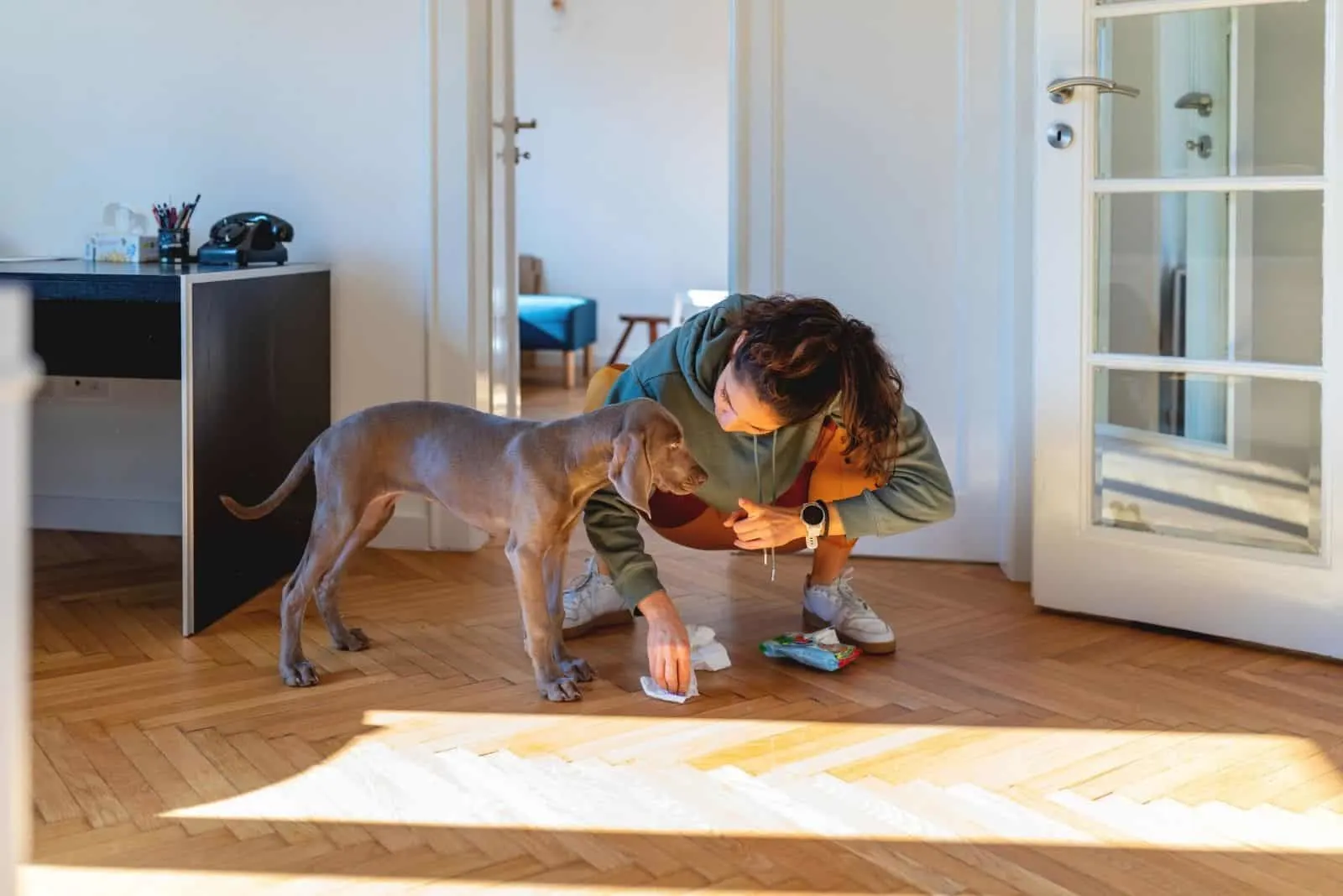 woman cleaning floor from dogs poo
