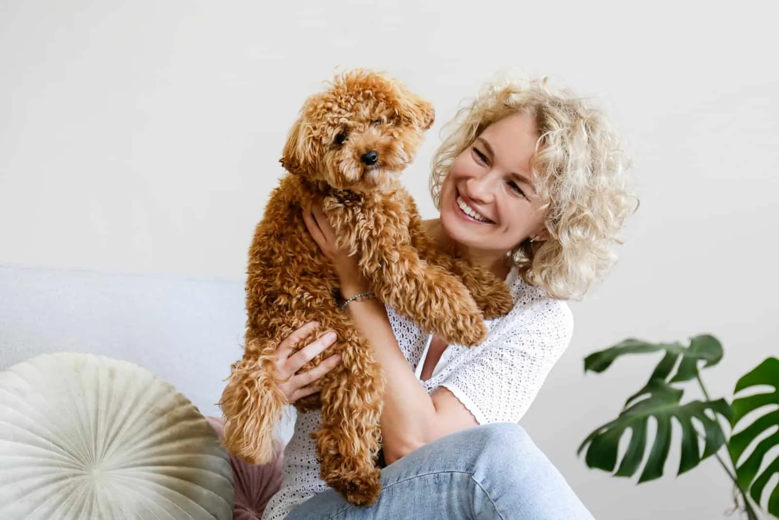 woman holding a toy poodle