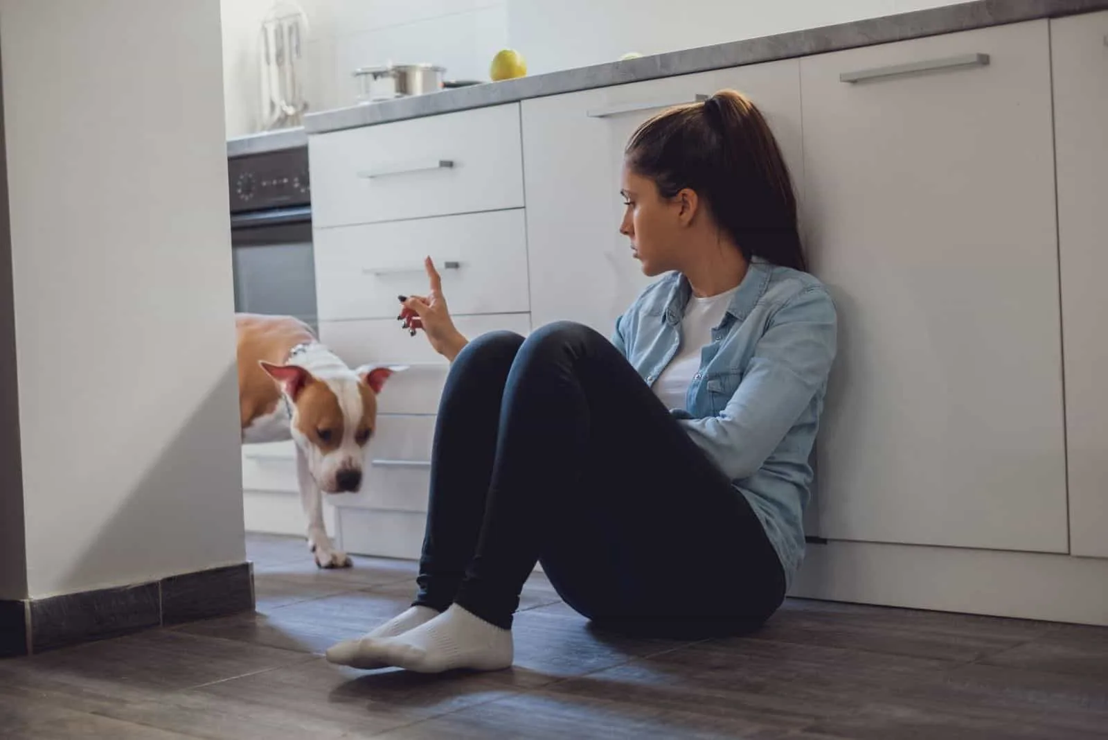 woman scolding dog in the kitchen 