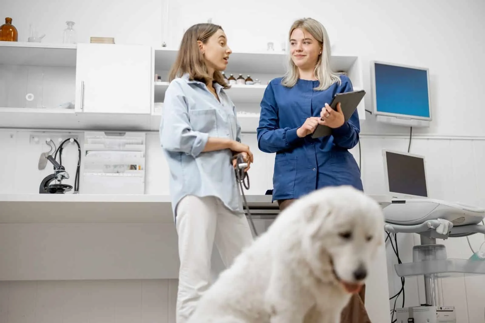 woman talking to a veterinarian with a sad dog