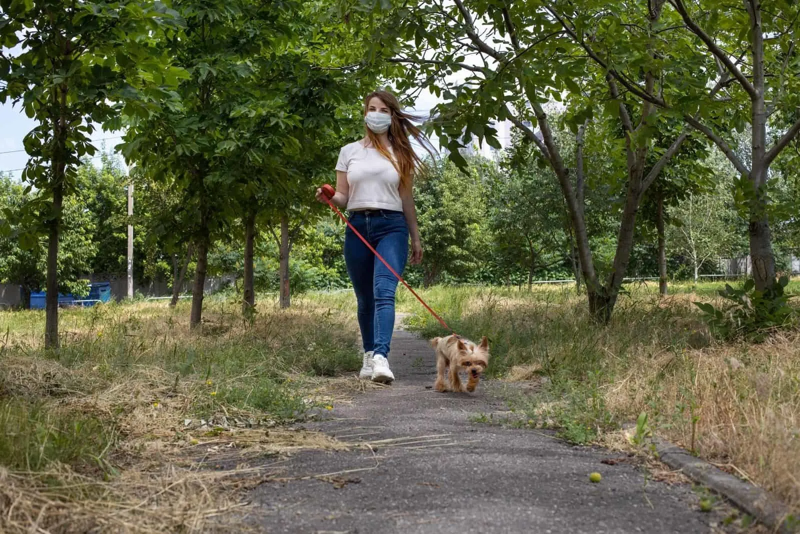 woman with a facemask walking with a yorkie in the park