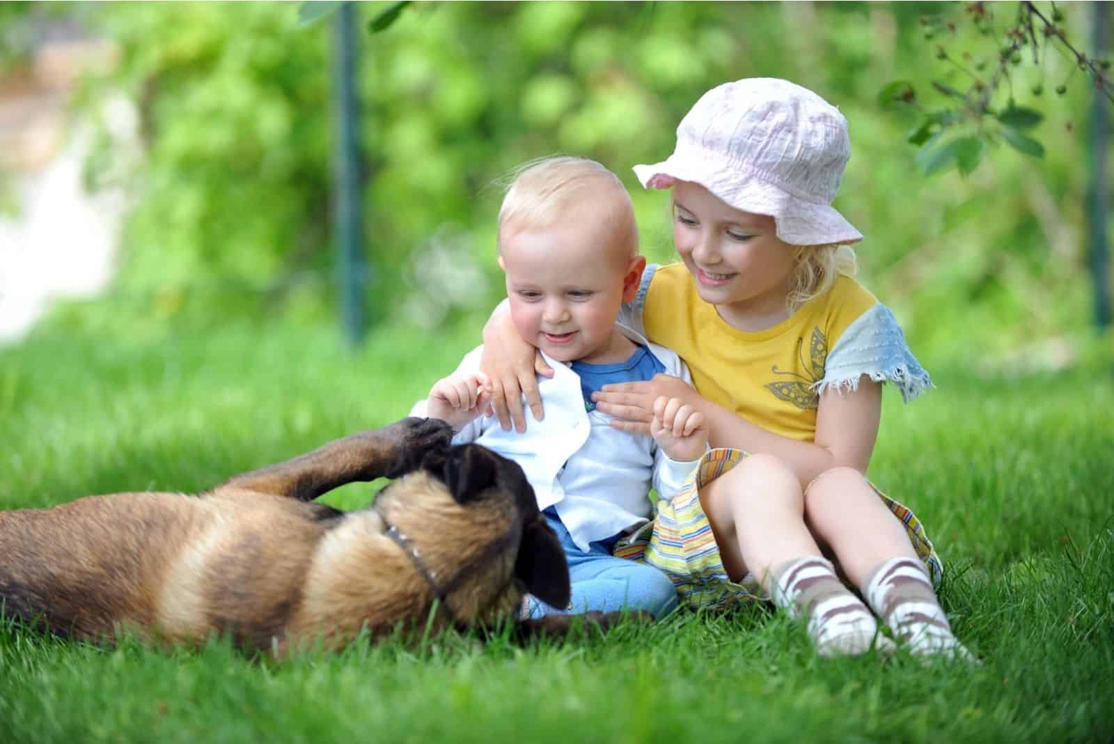 girl and her little brother playing with dog on grass
