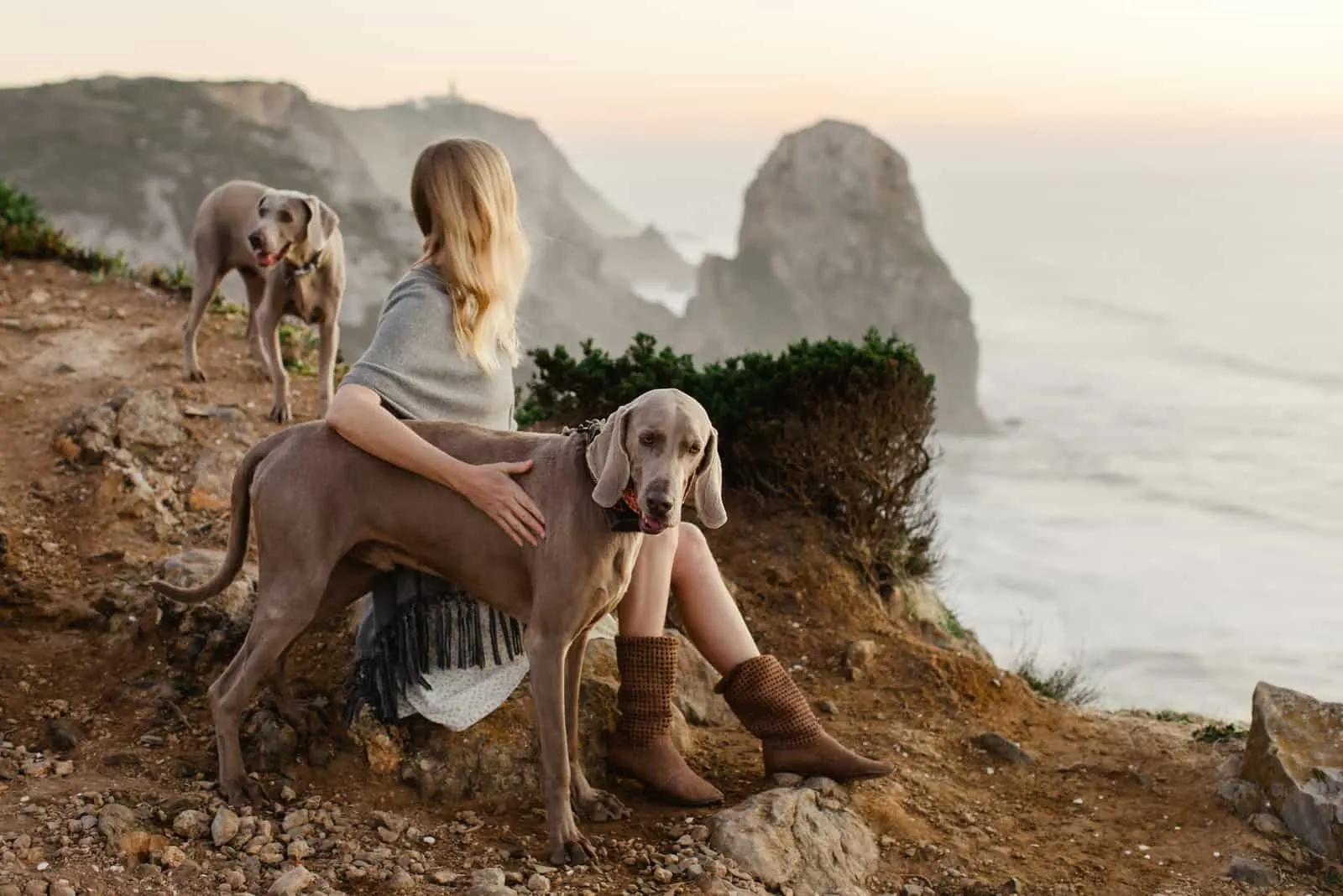 young woman with two Weimaraner dogs on a seashore