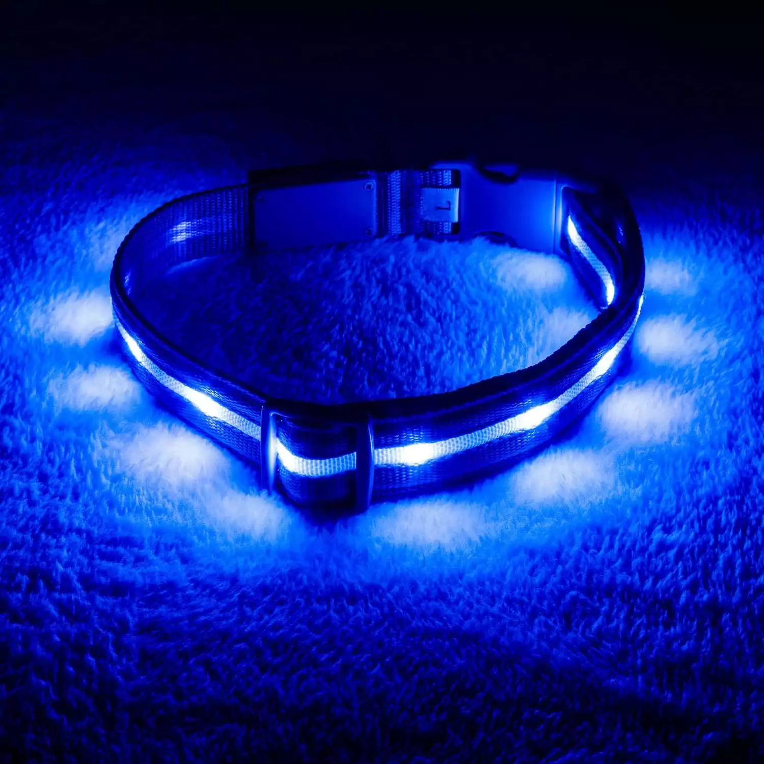 Blazin' Safety LED Dog Collar