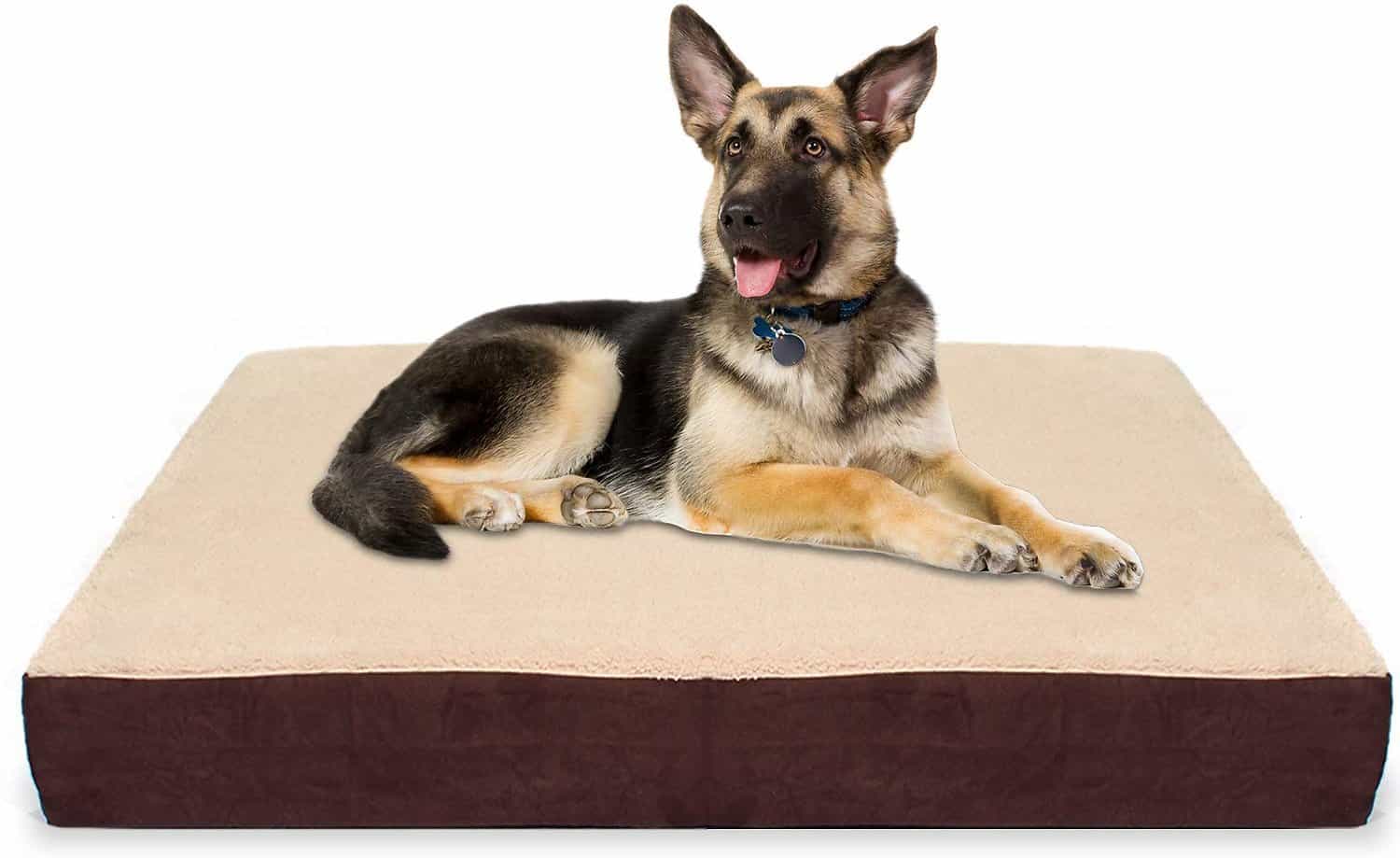 12 Best Dog Beds For German Shepherd Dogs Comfy Choices For A Good