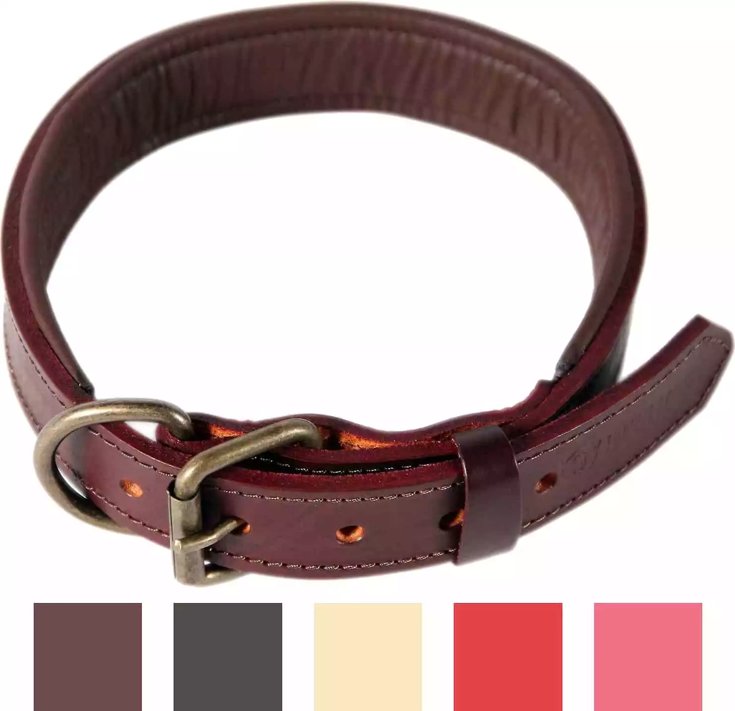 Logical Leather Padded Dog Collar