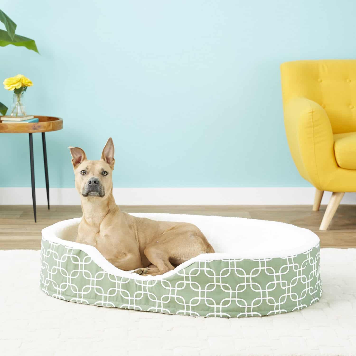 12 Best Dog Beds For German Shepherd Dogs Comfy Choices For A Good Night's Sleep