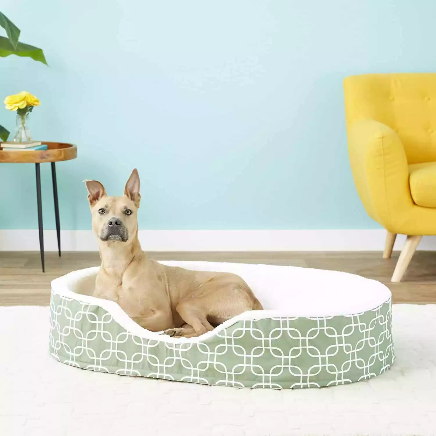 MidWest Quiet Time Dog Bed