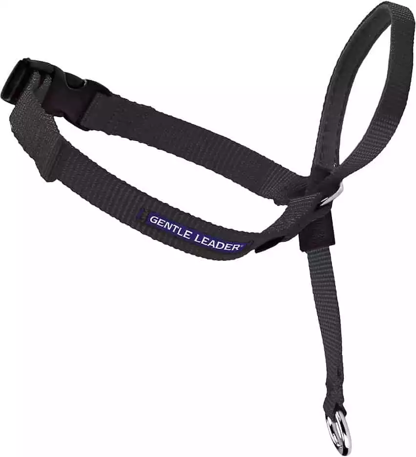 PetSafe Headcollar