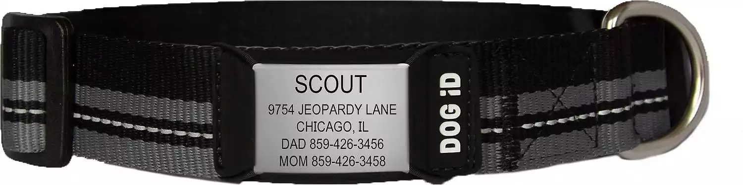 ROAD ID Dog Collar