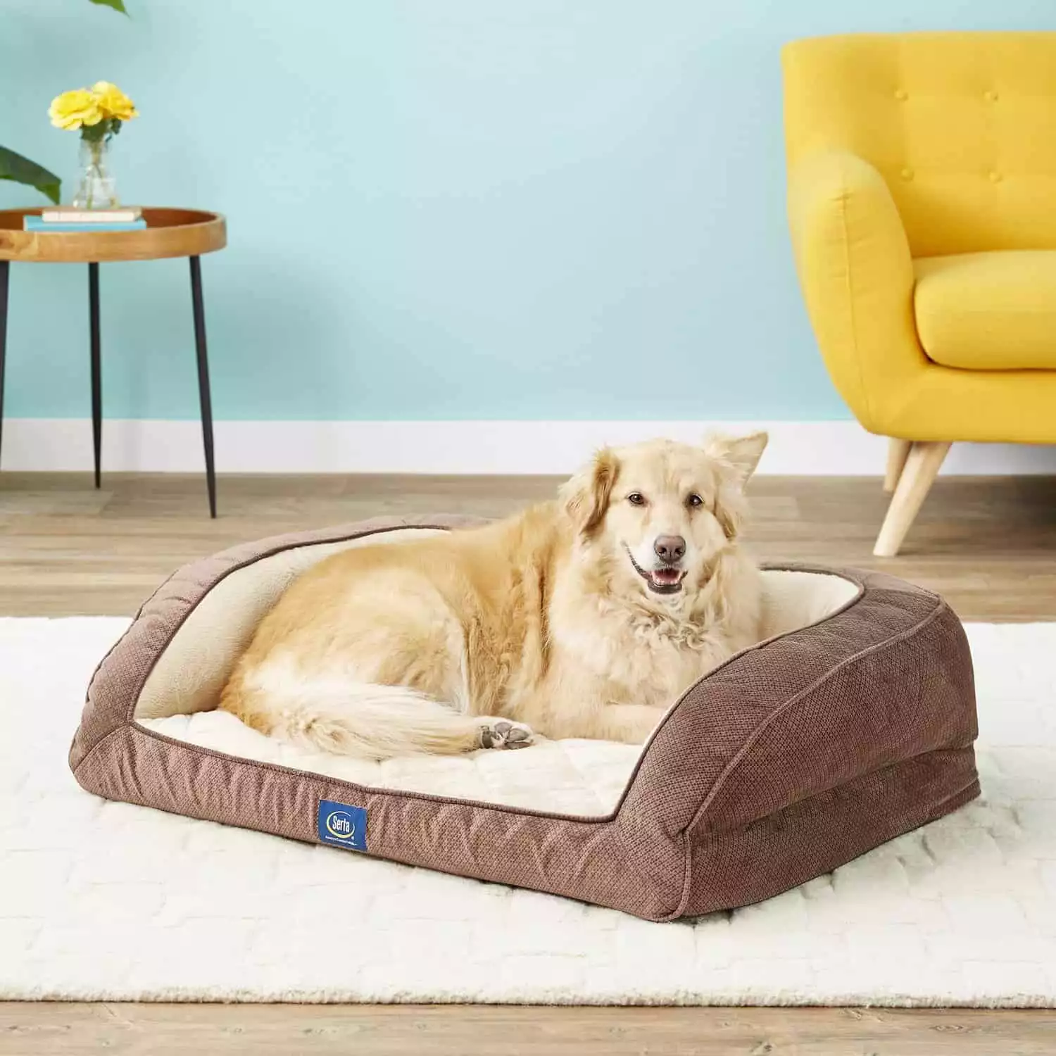 Serta Quilted Dog Beds