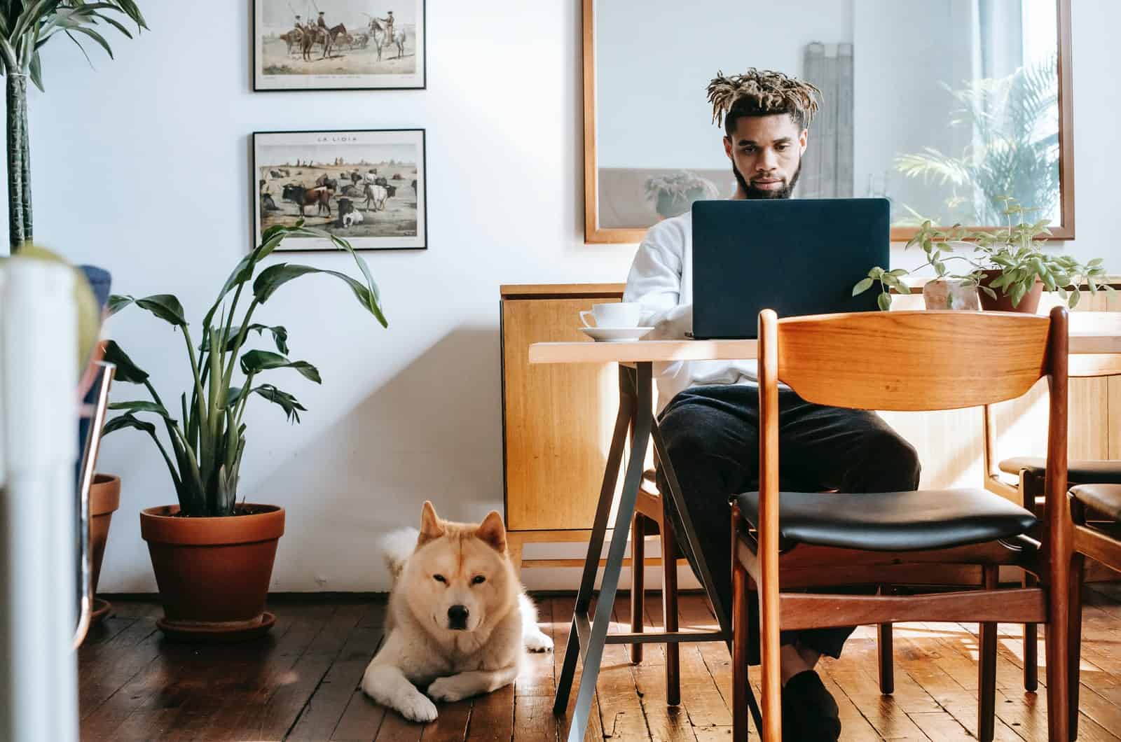 akita inu next to its owner in an apartment