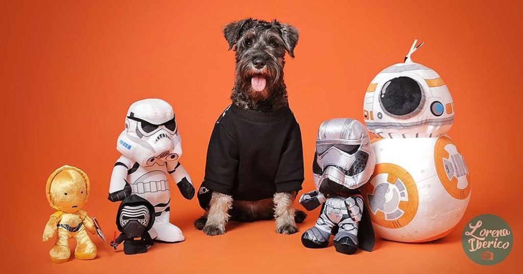 black dog with star wars toys and an orange background
