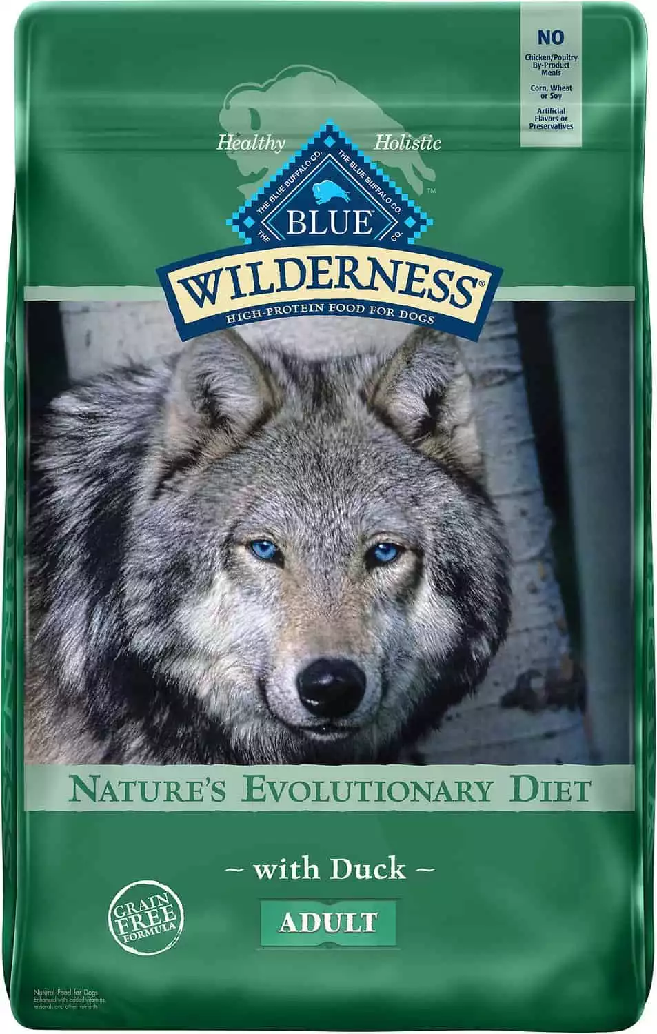 Blue Buffalo Dry Dog Food