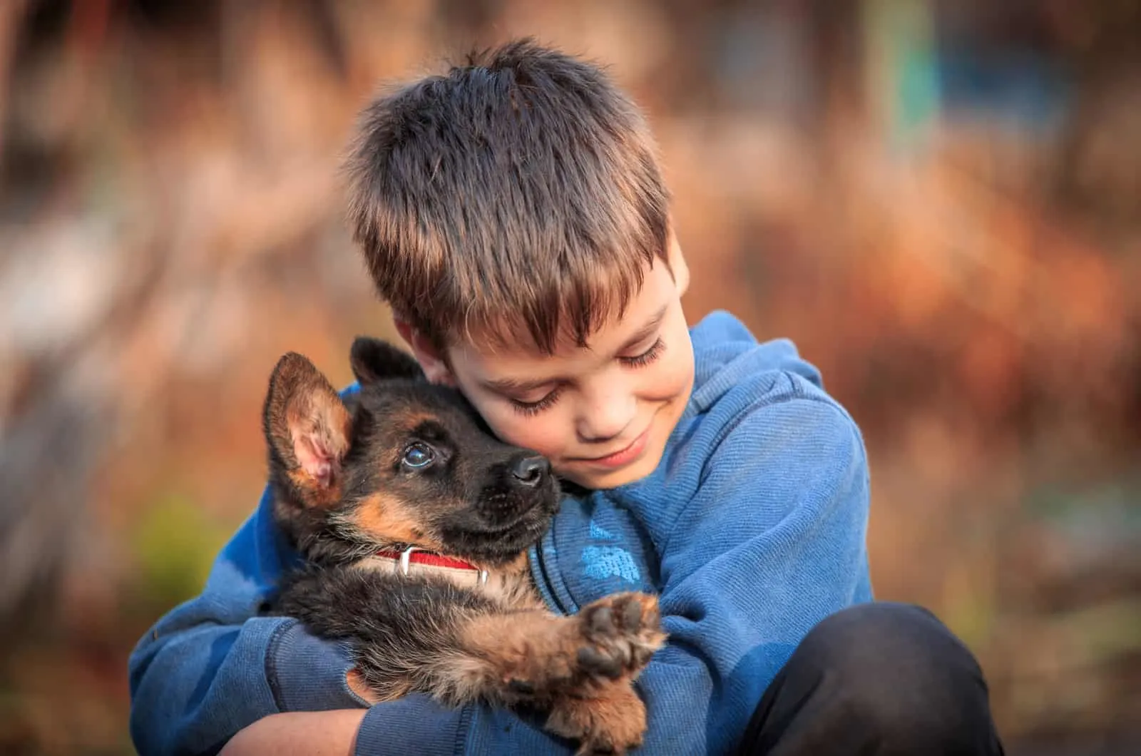 boy holding his german shepherd puppy