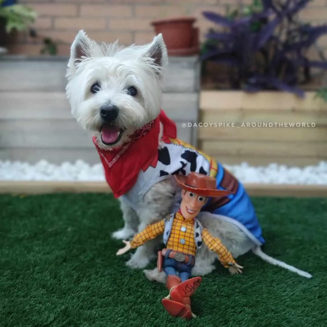 dog in a toy story costume