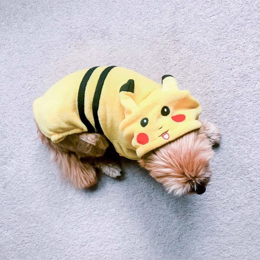 dog in pikachu costume