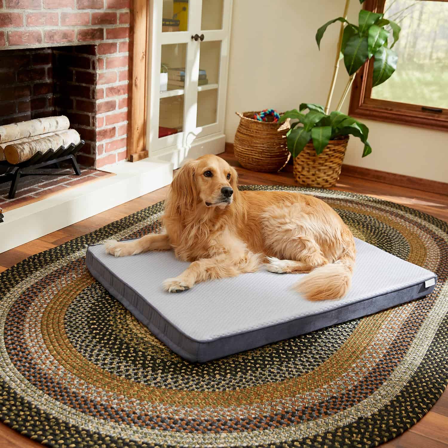 12 Best Dog Beds For German Shepherd Dogs Comfy Choices For A Good