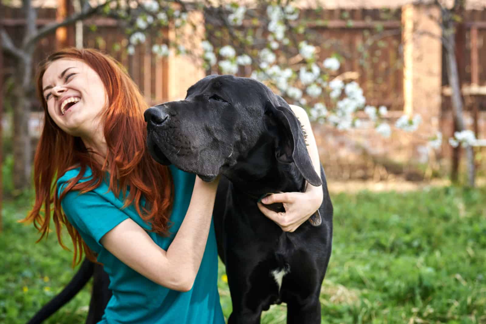 girl laughing with her great dane 