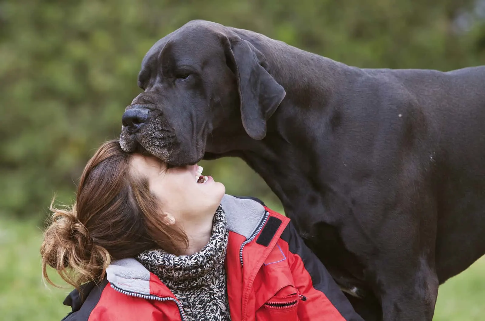 girl with her great dane