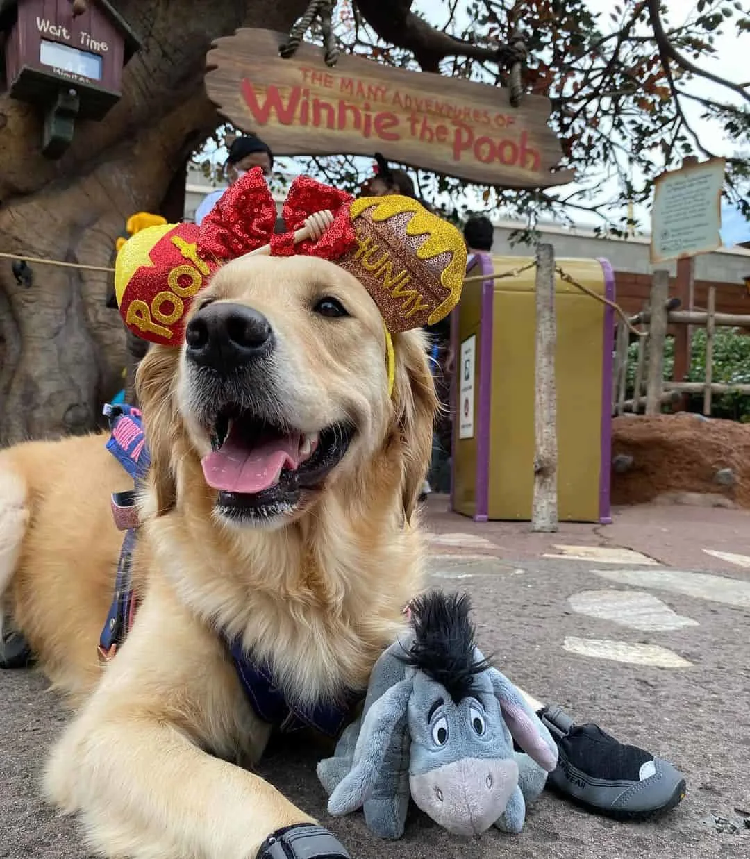 golden retriever with eeyore toy and winnie the pooh ears
