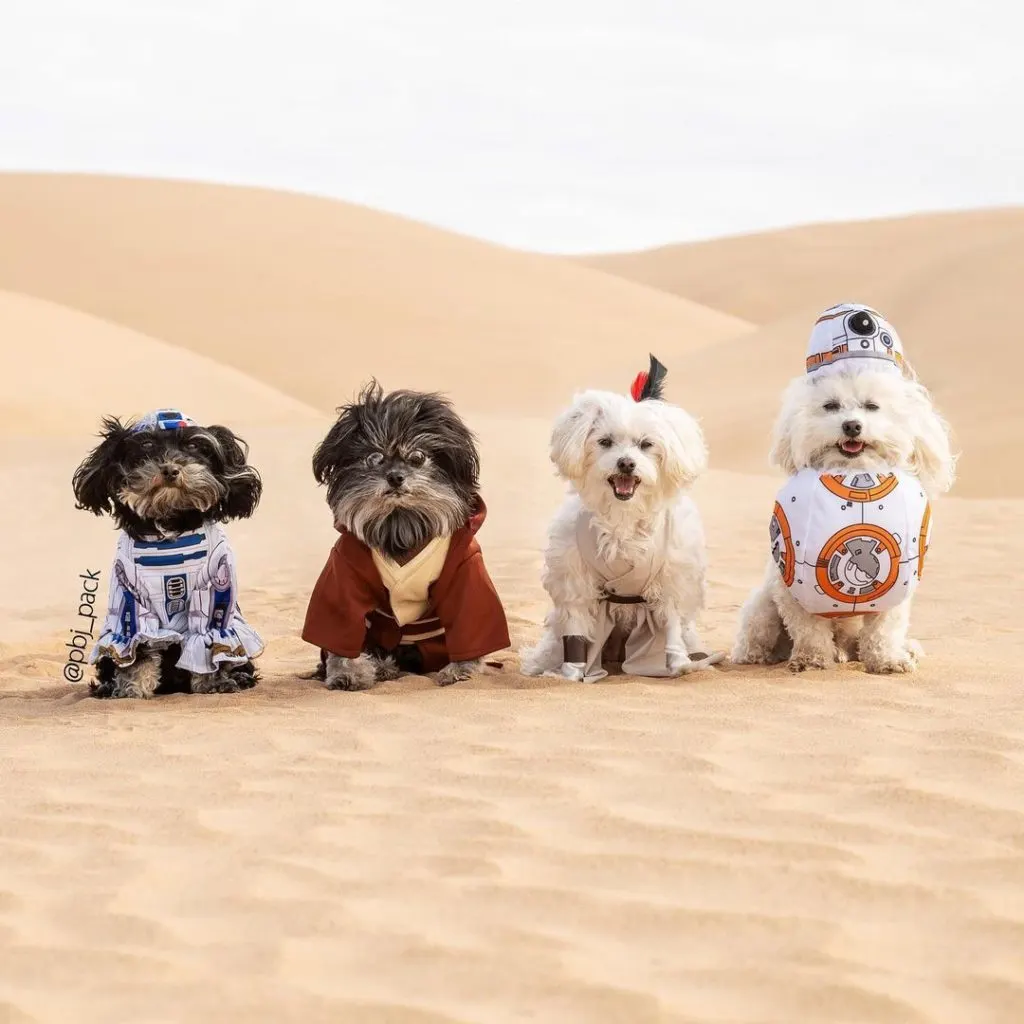 puppies dressed as star wars characters
