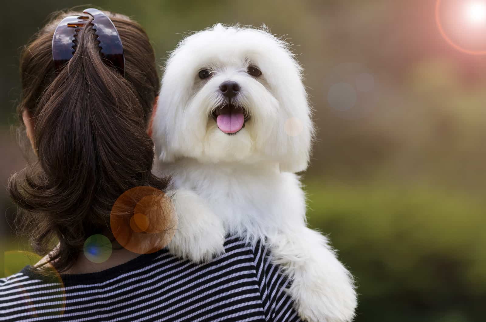 woman holding her maltese