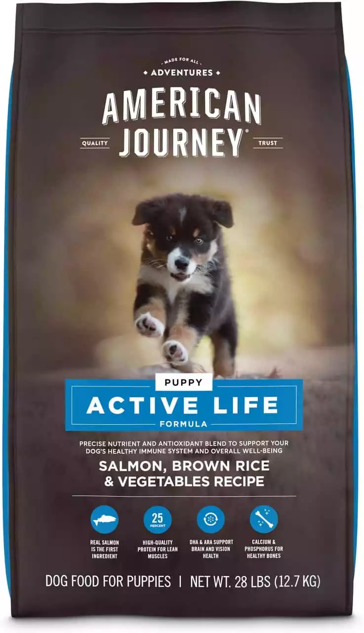 American Journey Active Life