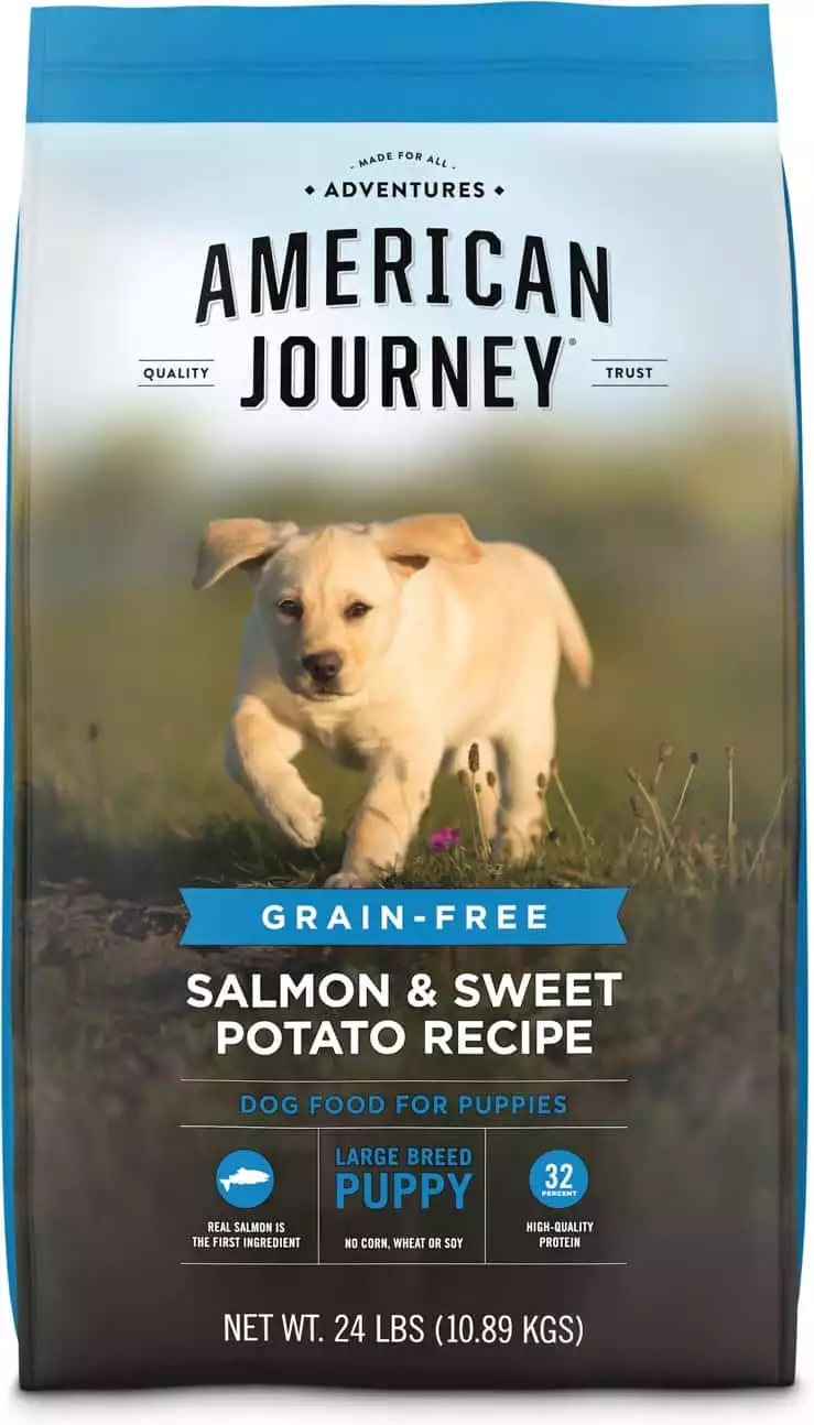 American Journey Puppy Salmon