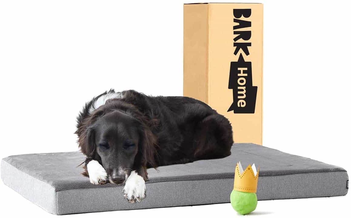Barkbox Orthopedic Dog Bed