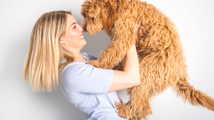 Best Brush For Goldendoodle: Top 12 Tools For Doodle Coat