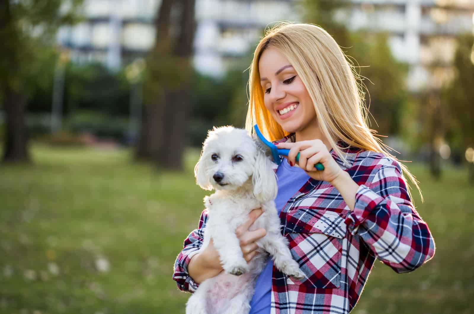 9 Best Brush For Maltese Dogs: Take A Look At Our Top Picks