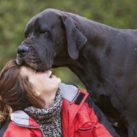 girl with great dane