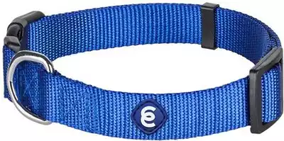 Blueberry Pet Nylon Collar