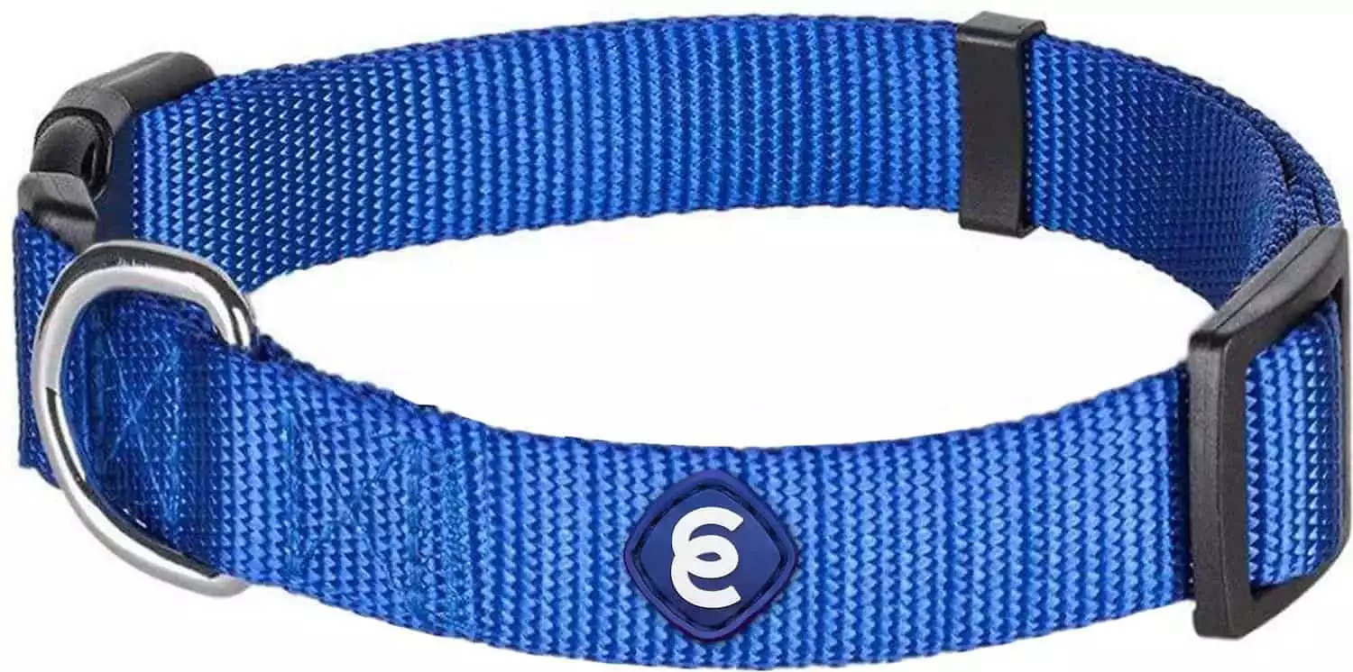 Blueberry Pet Nylon Collar